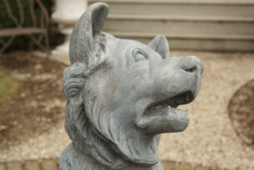Rare Lifesize Zinc "Dog of Alcibiades" (Molosser Dog) at 1stDibs