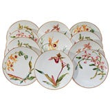 Set of 12 Bodley Orchid Plates-Raised Hand Painted Flowers