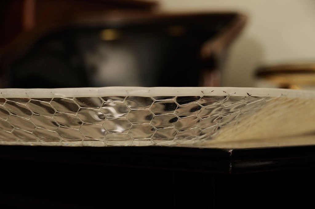 Clear Italian Large Lucite Tray with Embedded Screen 1
