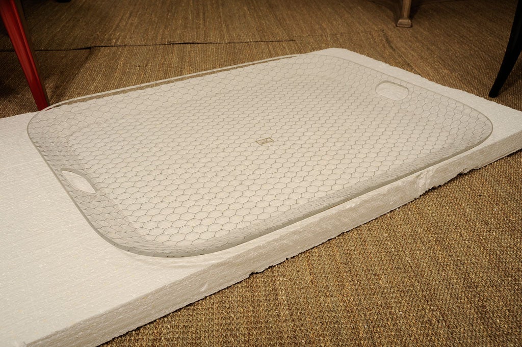 Clear Italian Large Lucite Tray with Embedded Screen 2