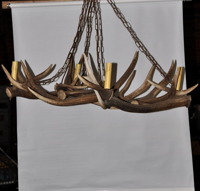 Country Deer Horn Chandelier For Sale