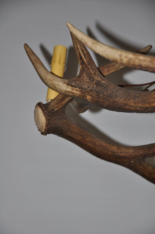Deer Horn Chandelier For Sale 1