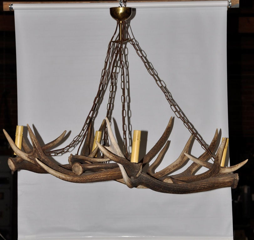 This authentic deer horn chandelier is probably French or German, circa 1910-20's, has four up-lights, candle covers and is suspended from four chains. Add it to your next rustic setting.
