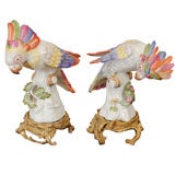 Pair of Porcelain Meissen Cockateils on Gilded Rococo Base