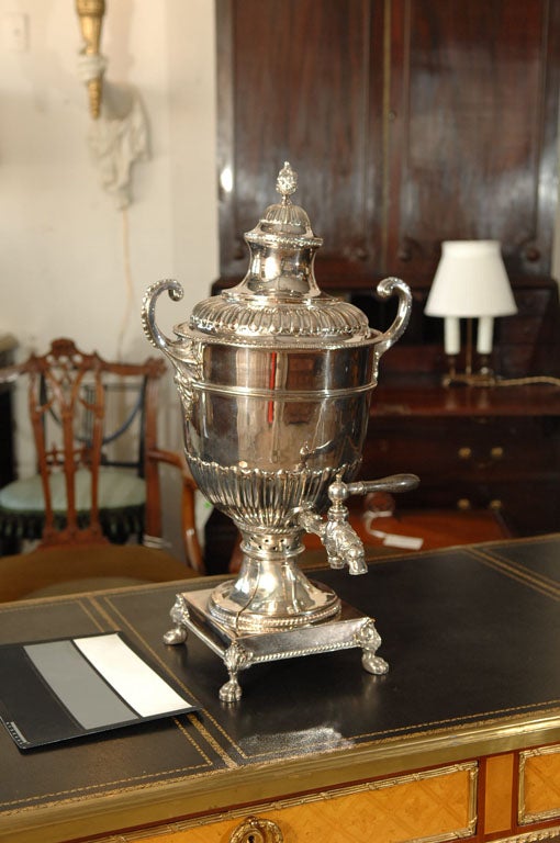 a large trophy urn shaped coffee urn silver plated, gadrooned lid and body, paw feet with a lion's head spout