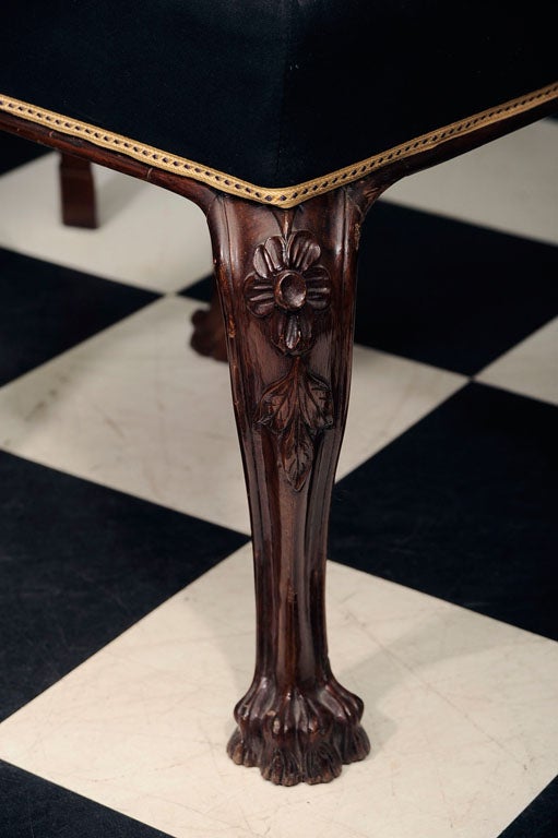 Square padded mahogany stool on cabriole legs with a rosette on knee ending in hairy paw feet.