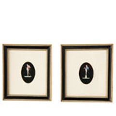 Pair of Hand Colored Herm Prints 8