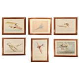 Vintage SET OF EIGHT LARGE WATERCOLORS OF WORLD WAR I AIRPLANES