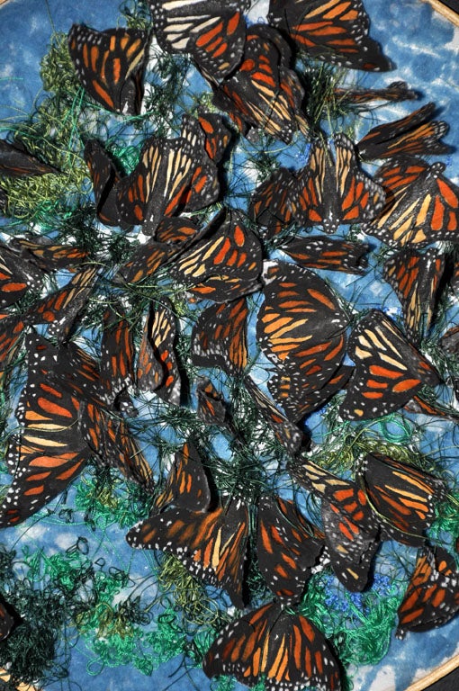 American LESLIE YAGAR BUTTERFLY COLLECTION For Sale