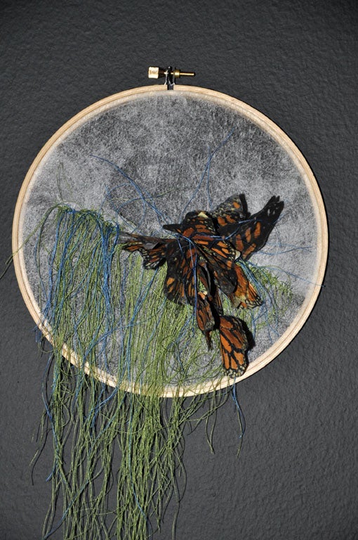 Contemporary LESLIE YAGAR BUTTERFLY COLLECTION For Sale