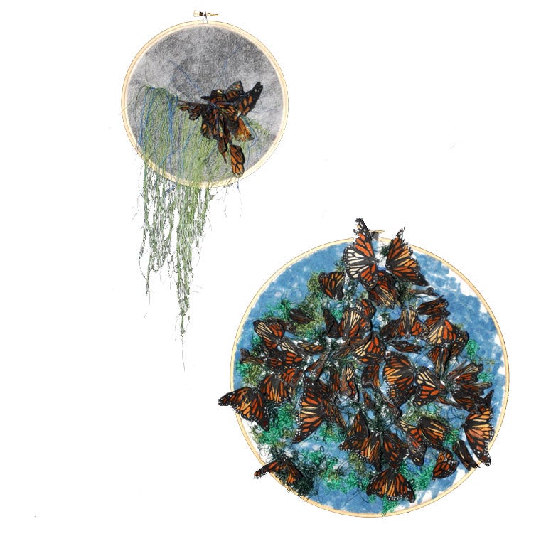 LESLIE YAGAR BUTTERFLY COLLECTION For Sale