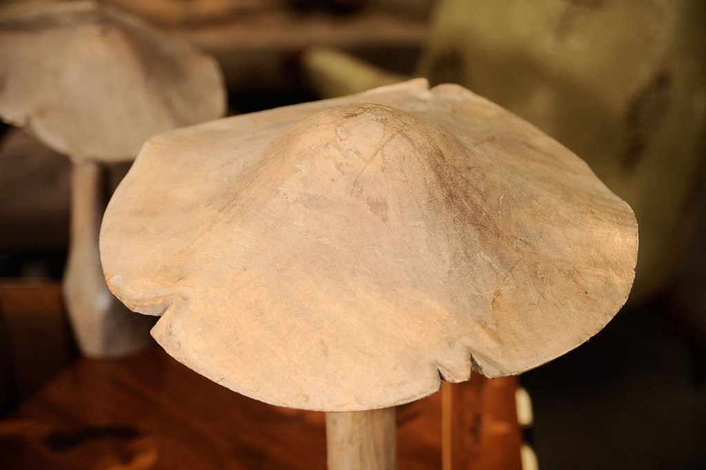 Hand Carved French Poplar Wood Mushrooms For Sale 1