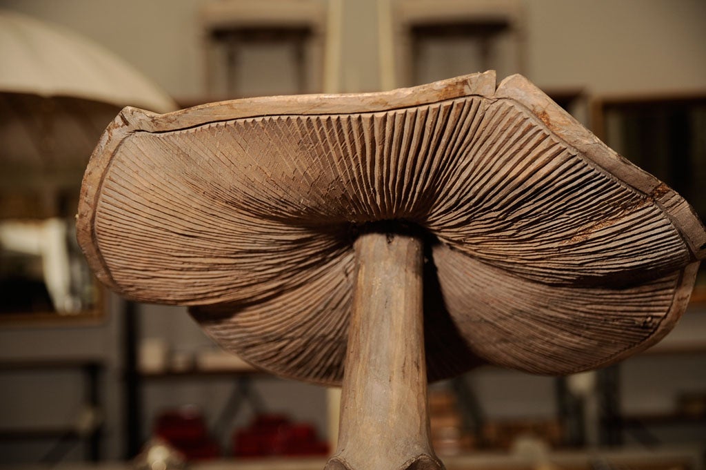 Hand Carved French Poplar Wood Mushrooms For Sale 4