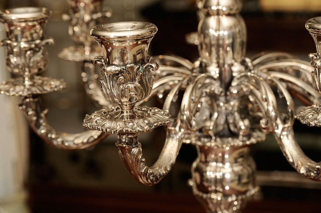 Pair of Silver Plated Candelabra In Excellent Condition For Sale In New York, NY
