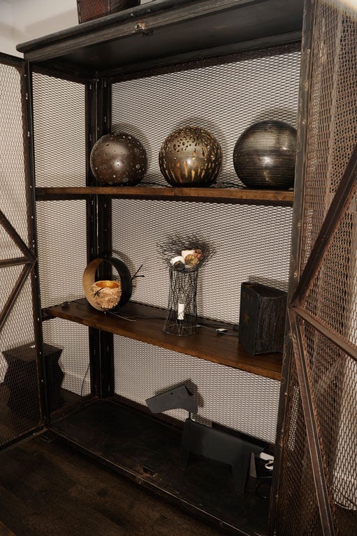 Steel Industrial Mesh Armoire