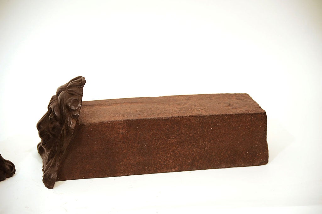 19th Century Cast Iron Lion Head Andirons