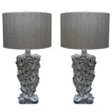 Pair of Oyster Shell Lamps