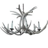 6-Lite Antler Chandelier