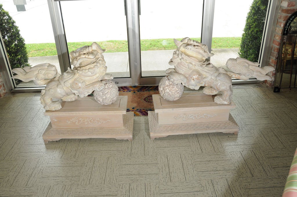 Pair Carved Foo Dogs with Base