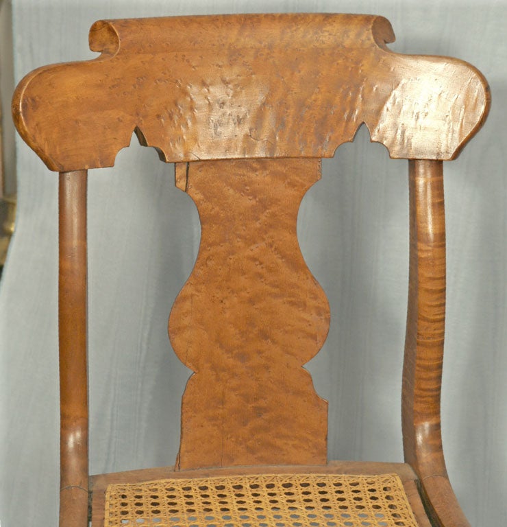 19th Century Pair of Classical Bird's Eye and Tiger Maple Side Chairs