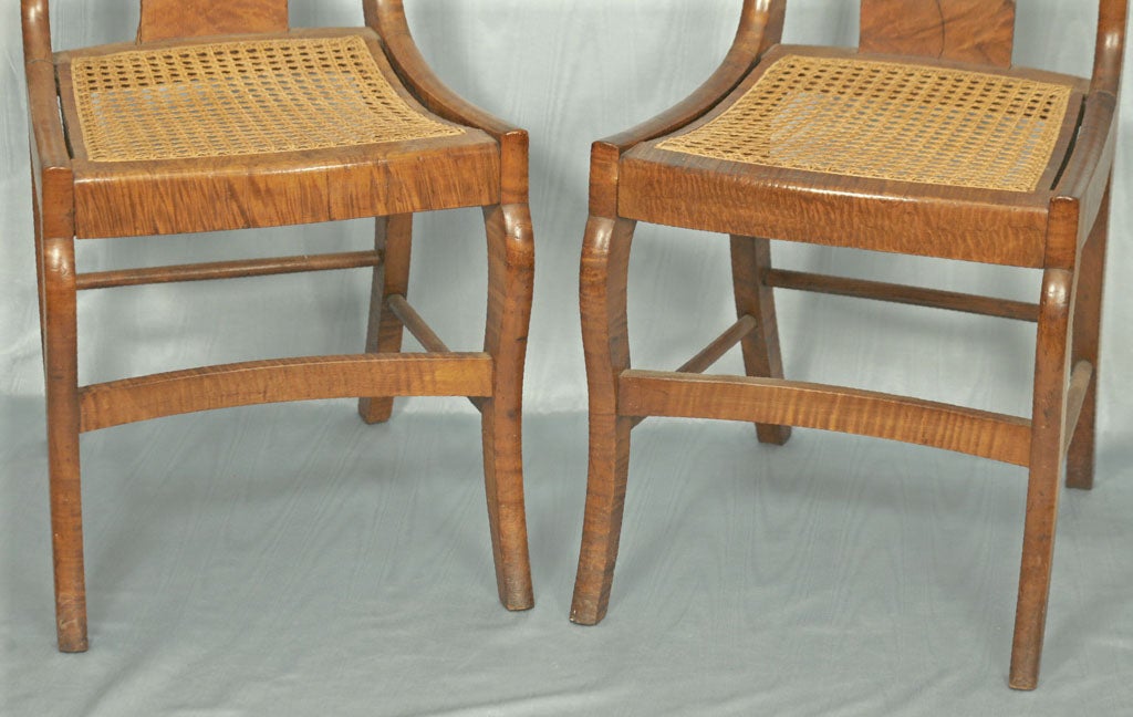 Pair of Classical Bird's Eye and Tiger Maple Side Chairs 1