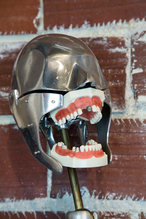 dental phantom for sale
