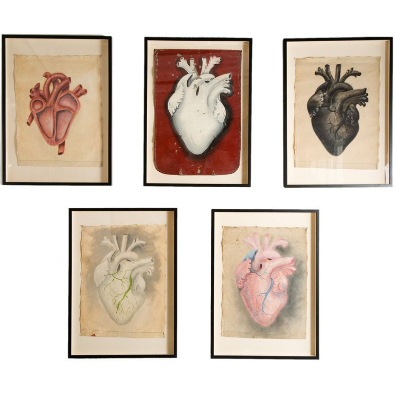 Collection of Painted Human Heart Studies