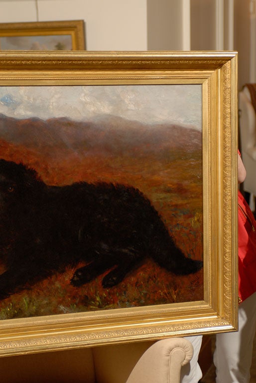 English Large Oil Painting of Newfoundland Dog