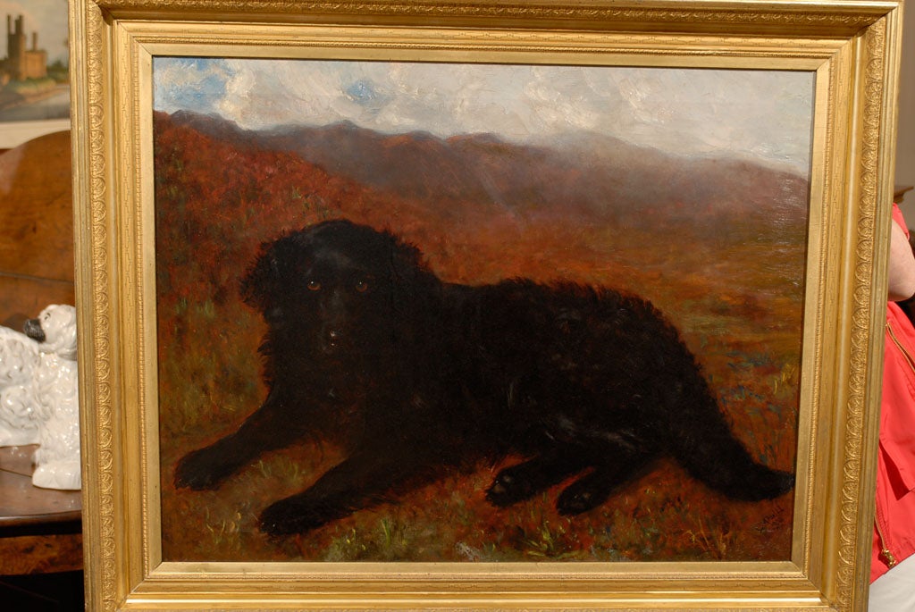 20th Century Large Oil Painting of Newfoundland Dog