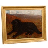 Antique Large Oil Painting of Newfoundland Dog