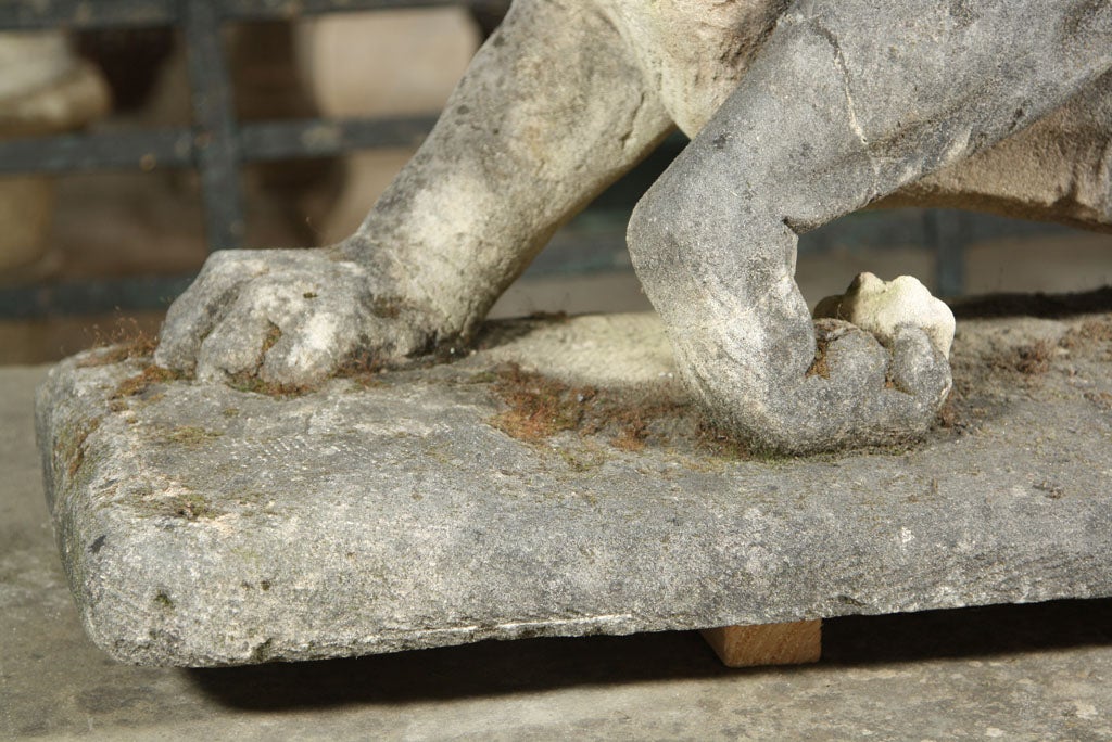 19th Century Carved Limestone Prowling Tiger
