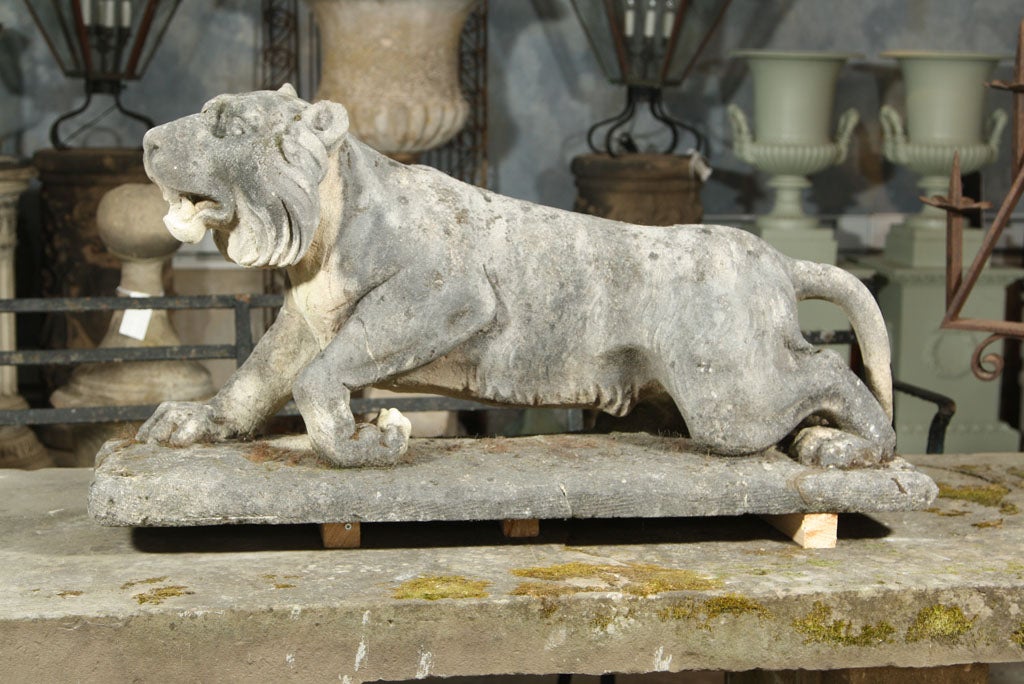 Rare European limestone tiger with fabulous carved detail and in an unusual prowling position.  Wonderful weathered surface make this piece stunning as a focal point indoor or out.