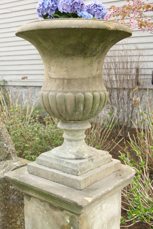 Rare Set of Four 18th Century Yorkstone Urns on Plinths with Provenance For Sale 1