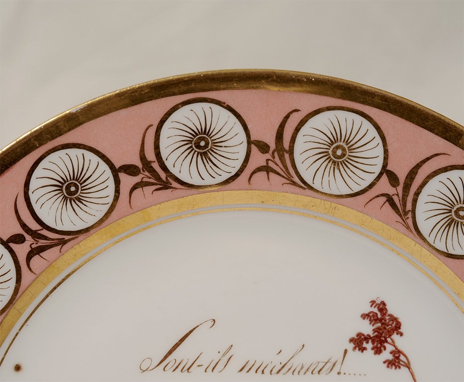 French One of Five Pink Dagoty Plates with Romantic Scenes and Witty Sayings
