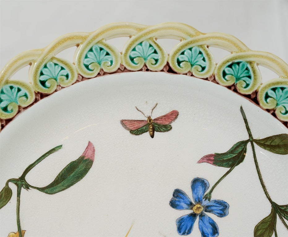 9 Wedgwood Majolica  Pierced Plates Birds and Butterflies In Excellent Condition In Katonah, NY
