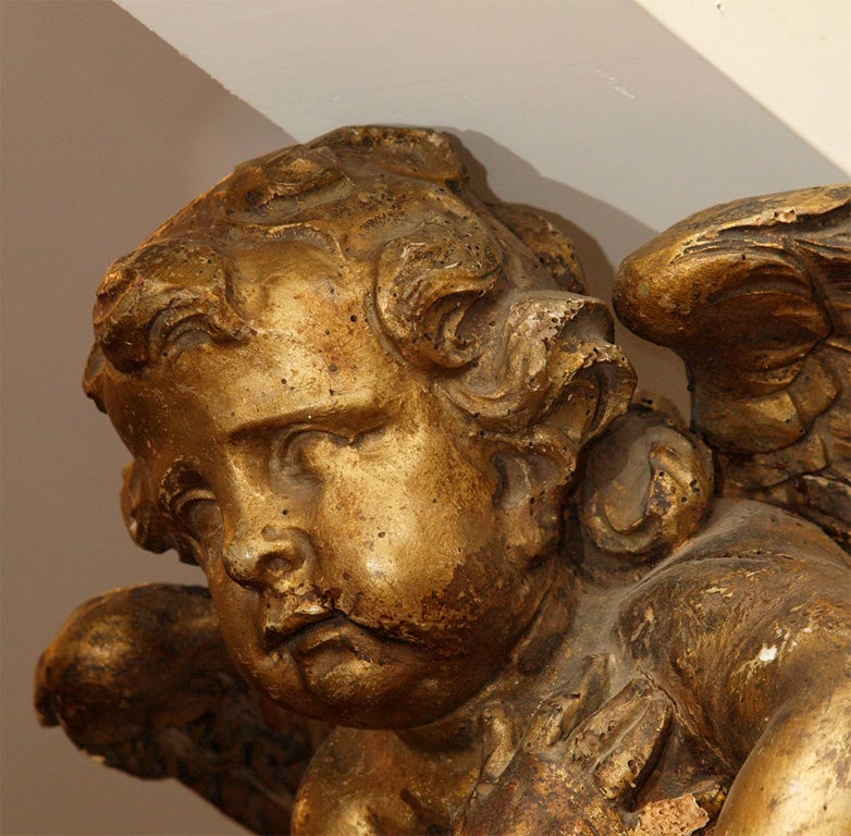 Pair of 17th century carved and gilt wood putti from an altar.<br />
Exceptional condition for age.