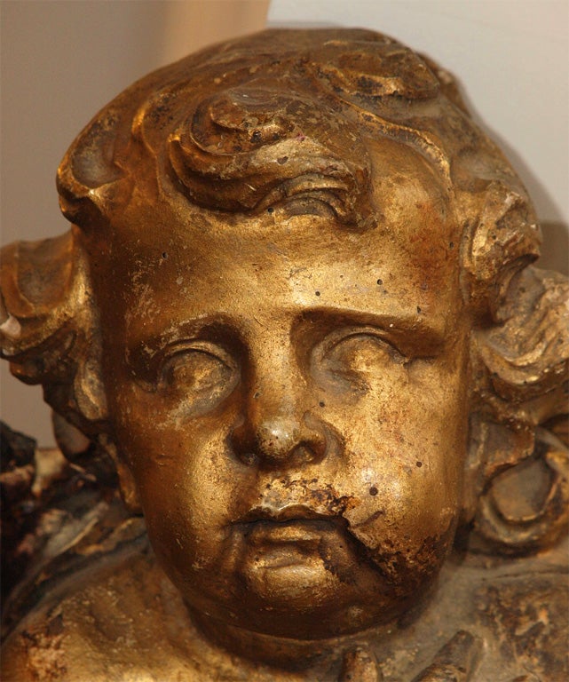 Giltwood 17th CENTURY CARVED AND GILT PUTTI