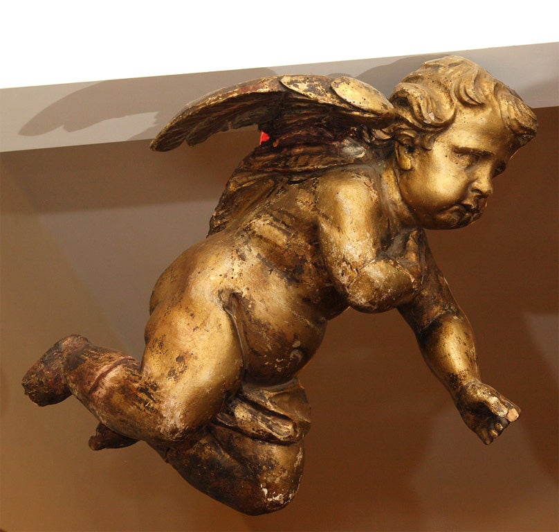 17th CENTURY CARVED AND GILT PUTTI 2