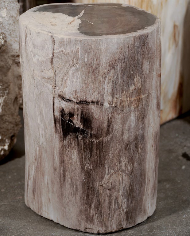 Petrified Wood Side Table / Stool 2