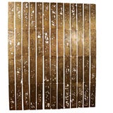 Spectacular Acid-Etched Brass Feature Wall Spectacular Acid-Etched Brass Feature Wall