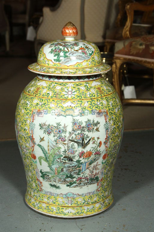 Covered Chinese Jar