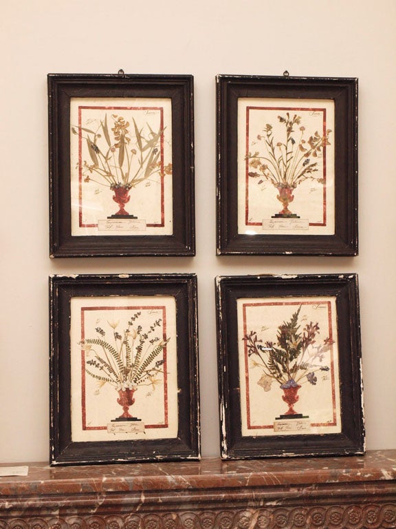Set of 4 botanical specimen collections consisting of pressed and dried ferns, leaves and flowers.  The plants are displayed as flower arrangements in urns hand painted to look like red marble surrounded by a similar border;  there are also hand