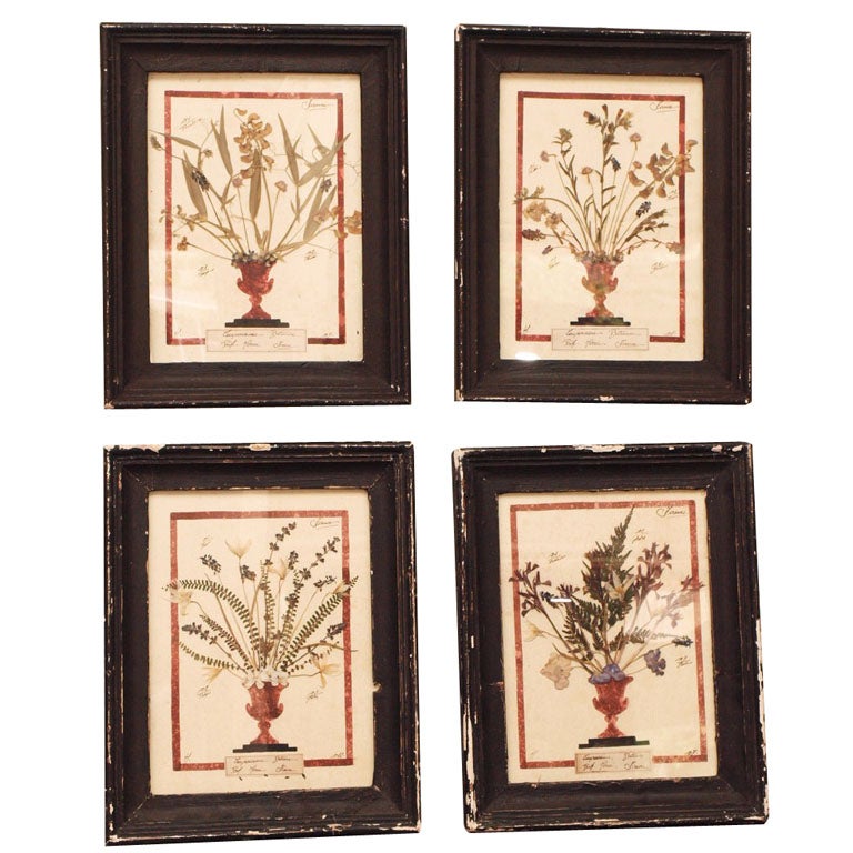 Set of 4 Framed Vintage Italian Botanicals