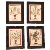 Set of 4 Framed Vintage Italian Botanicals