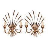 Pair of Continental Gilt Tole "Wheat" Motif Sconces