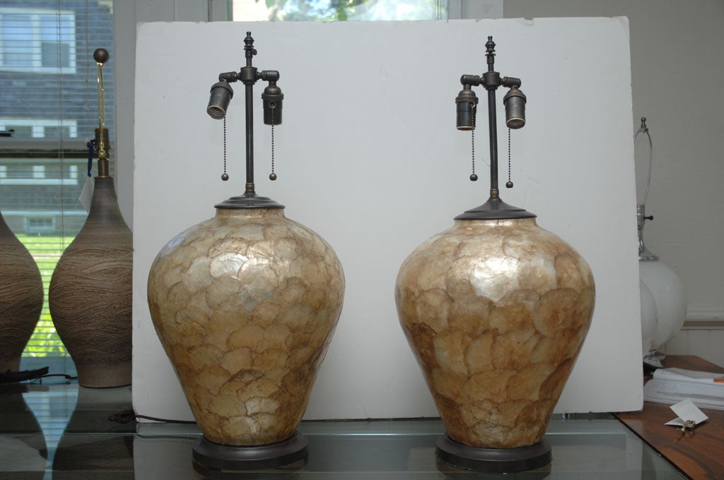 Pair of Shell Disc Lamps