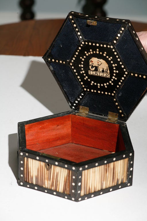 porcupine box