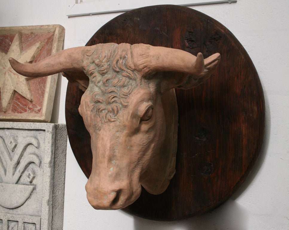 Terre Cuite Vachette