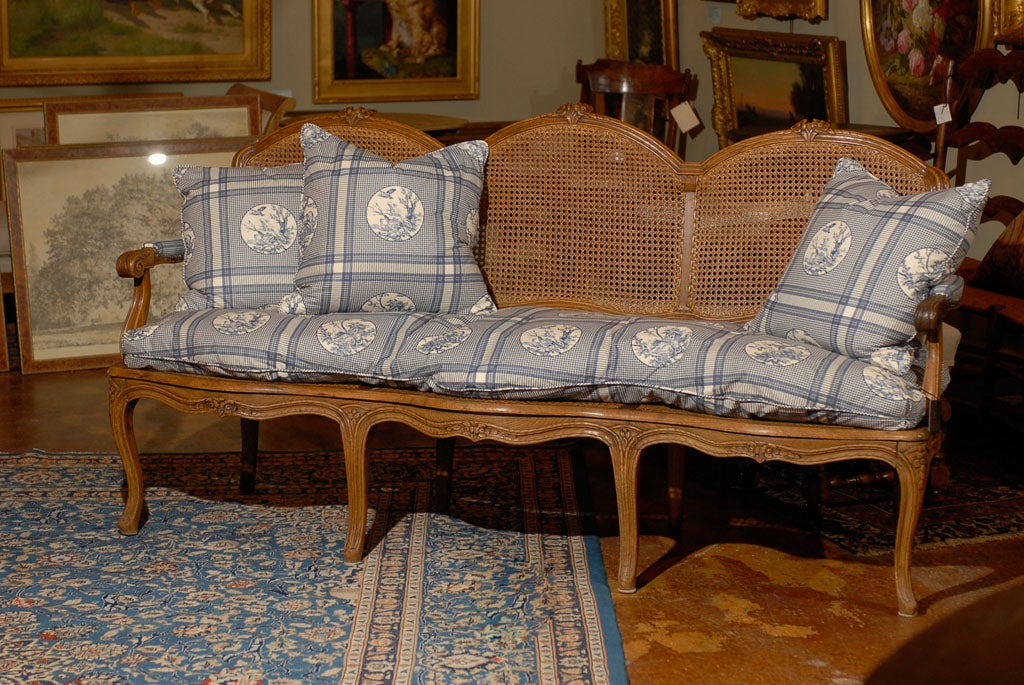 French 1860s Louis XV Style Fruitwood and Cane Canapé with Linen Upholstery 5