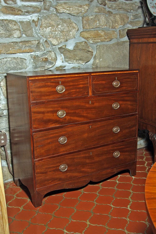 English, mahogany five-drawer chest with rosewood crossbanded top. Beaded drawers have inset olivewood stringing and oval brass hardware featuring the Prince of Wales triple plume and crown emblem. A deeply scalloped apron completes the look of this